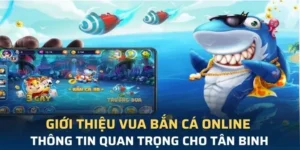 Bí Quyết Chinh Phục Vua Bắn Cá Tại VUABET: Thắng Lớn Ngay Hôm Nay!